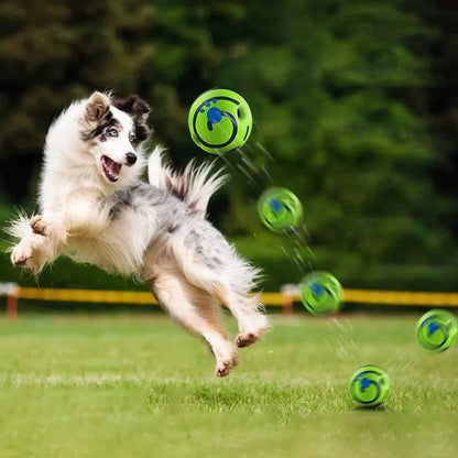 Giechelbal voor Honden