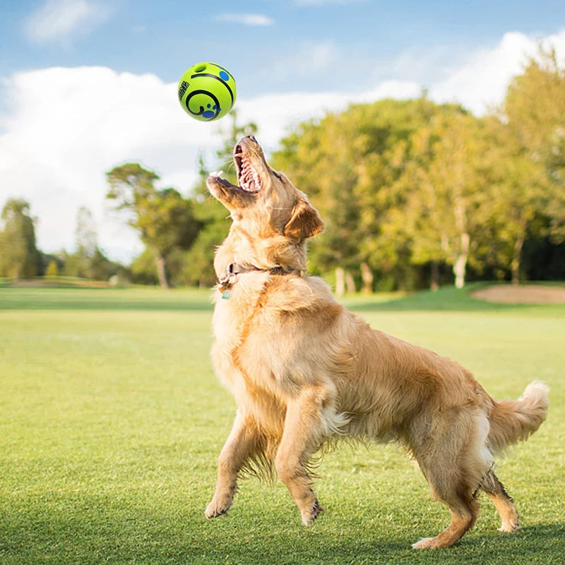 Giechelbal voor Honden