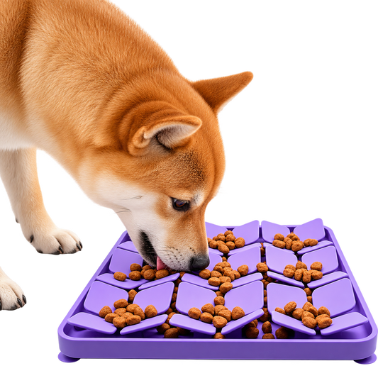 Slowfeeder voor Honden